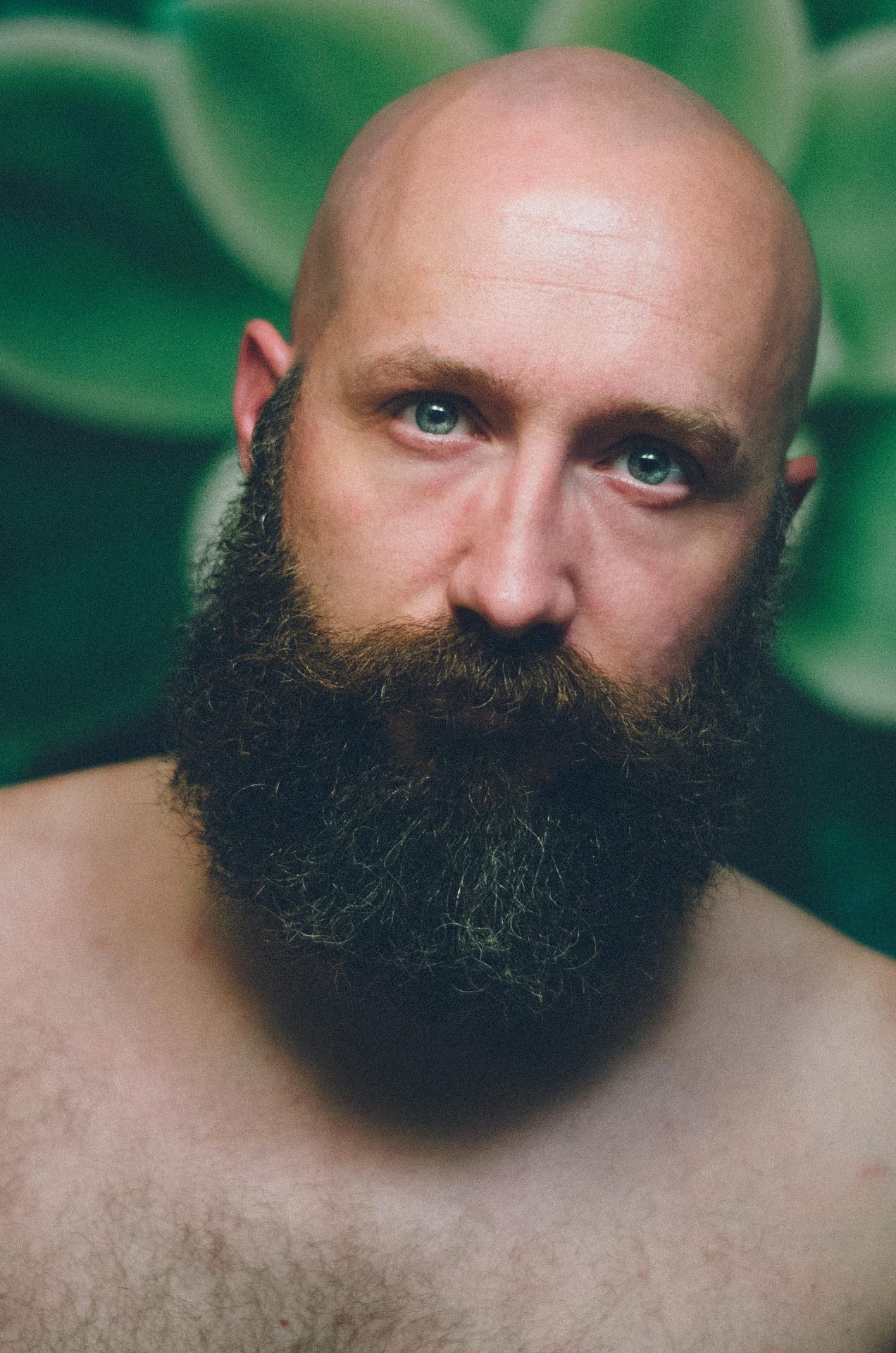 Bearded Life: Photo