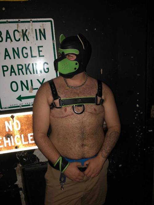 Fat, latino, hairy, trans leather pup ! 21st bday was well spent...