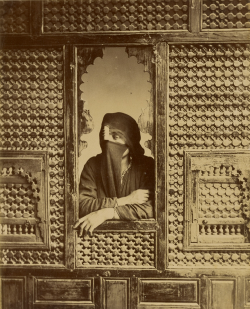 desimonewayland:
“ [Veiled Woman in Window]
Zangaki (Greek, Cypriot or Turkish, active Egypt 1860s - 1880s)
about 1860s - 1880s
Albumen silver print
Getty Collection
”