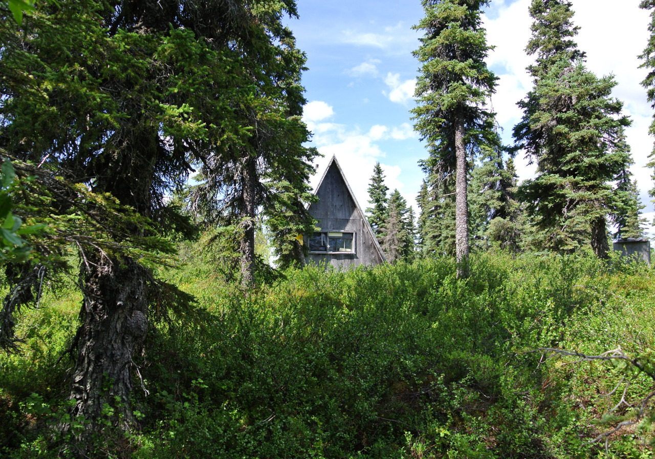 Lake Cabin Porn - Cabin Porn â€“ A-frame on the south side of Lake Tikchick,...