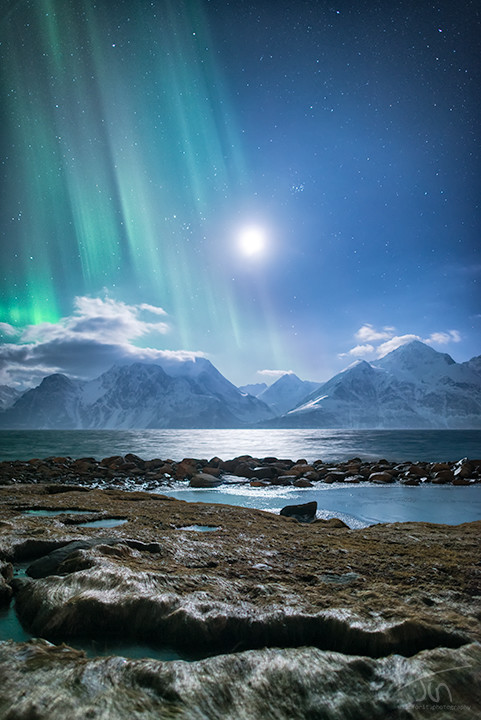 Beauty Rendezvous - Aurora borealis - moon over the Lyngen Alps,...