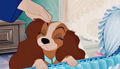 Image result for lady and the tramp gif