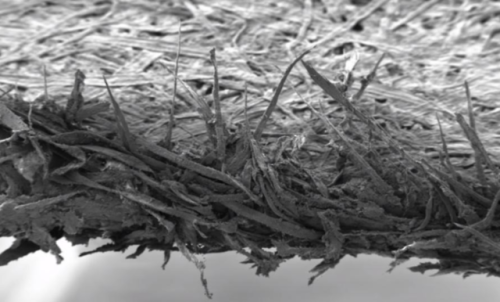 Edge of paper enlarged 100x by an electron microscope