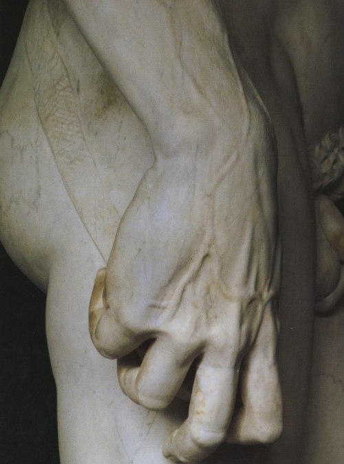 inosanteria:David (1501-1504), by Michelangelo