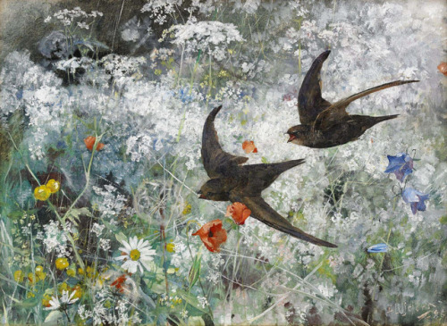 blue-storming:Bruno Liljefors, Swifts, 1886