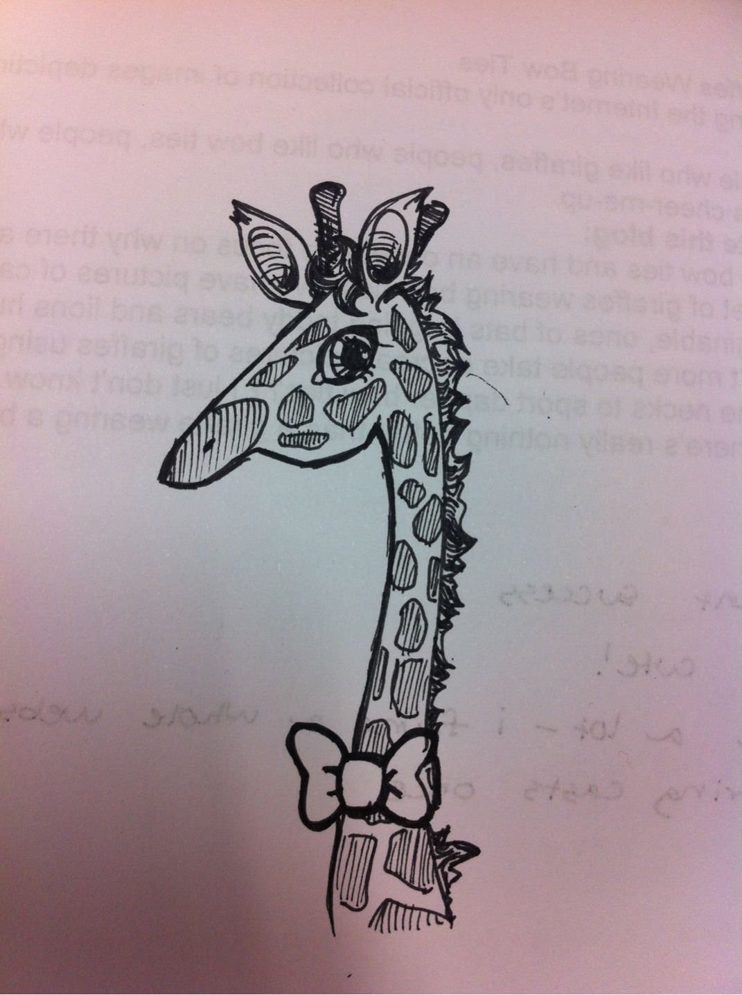 Giraffes Wearing Bow Ties