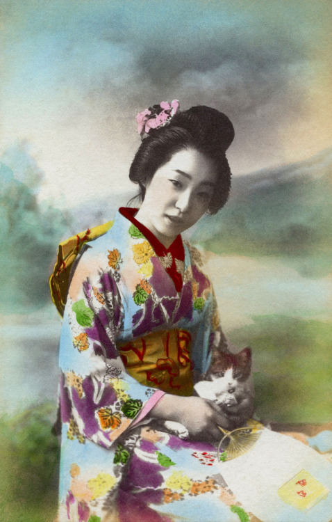 Holding a Kitten 1910s (by Blue Ruin1)
“ A hand-coloured postcard from around 1910, showing a hangyoku (young geisha) holding a koneko (kitten) in one hand and an uchiwa (round fan) in the other.
”