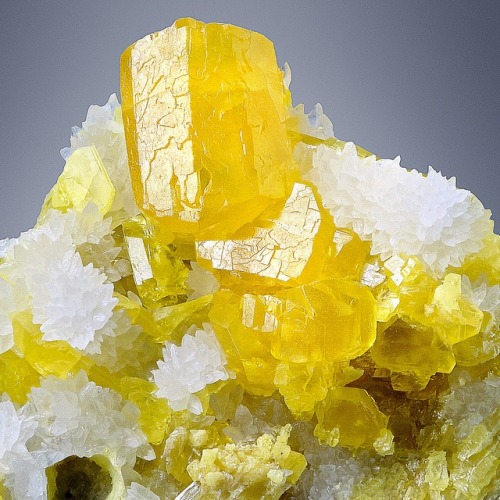 hematitehearts:Sulfur with AragoniteLocality: Cianciana mine,...