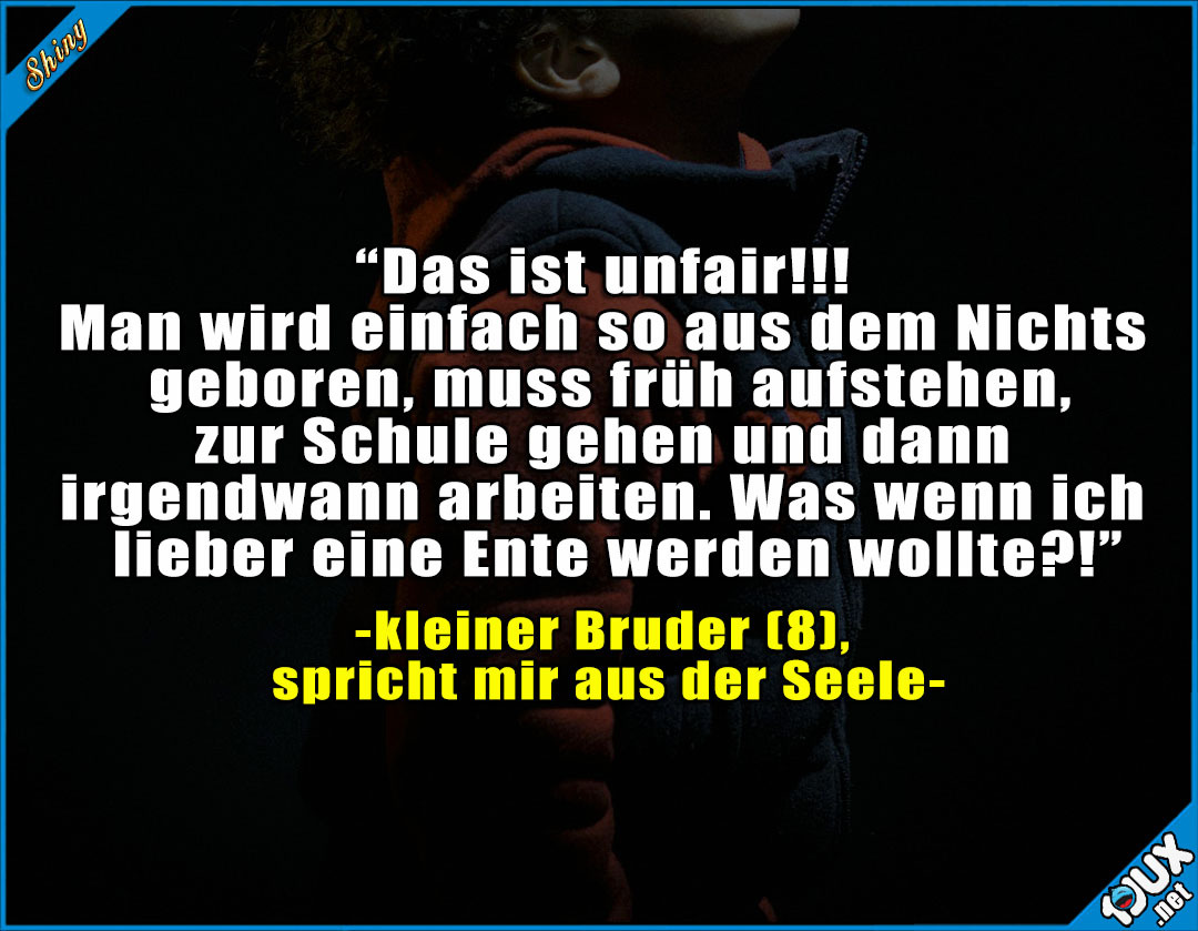 Lustige Sprüche Kinder Haben Eine Interessantere