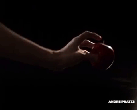tumblr_p0em80Pzyv1uzfbuao1_500.gifv