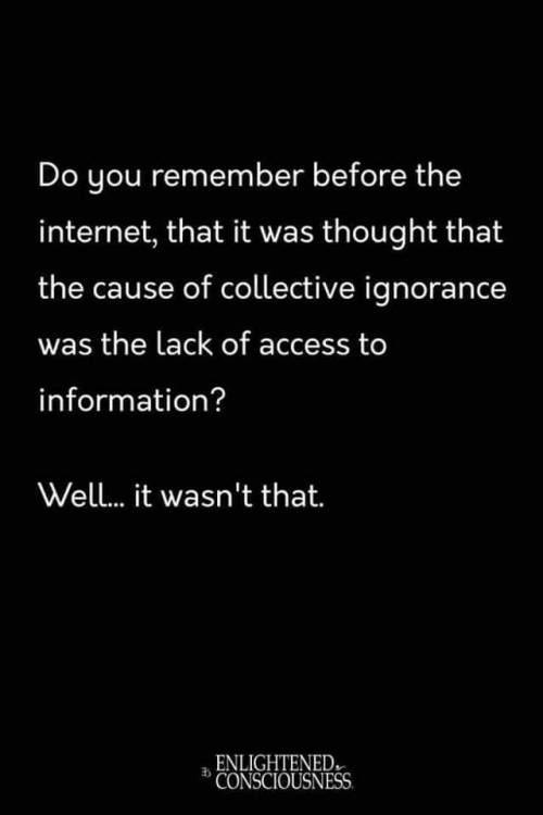 Graphic:  Do you remember before the internet, that it was though that the cause of collective ignorance was lack of access to information.  Well . . . it wasn't that.