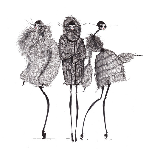 Illustration jamie lee reardin