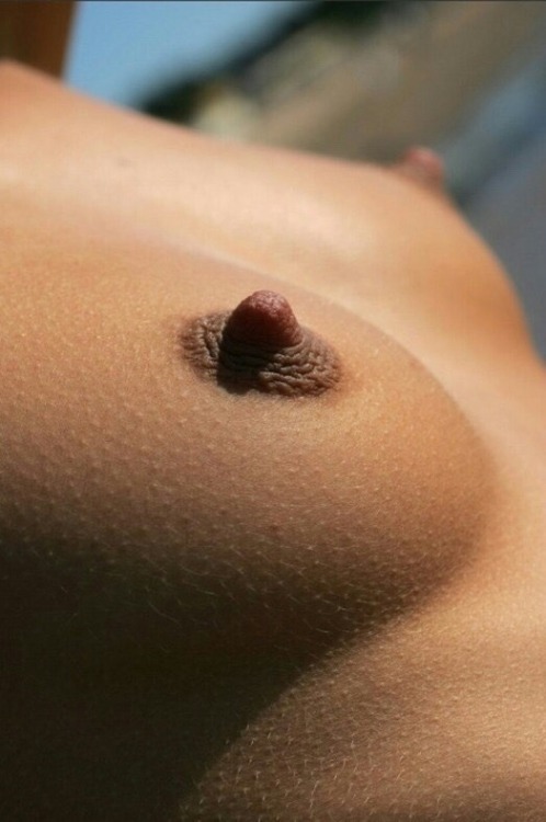 saucysenses:More? Saucy Sensesperfect Nipples