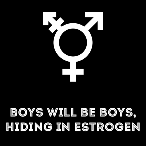 jewishcap:BOYS WILL BE BOYS, HIDING IN ESTROGEN  /  A TRANS BOY...