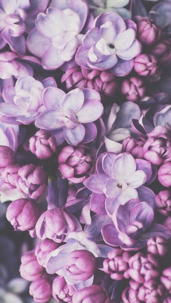 Download 40+ Background Tumblr Vintage Purple Terbaik