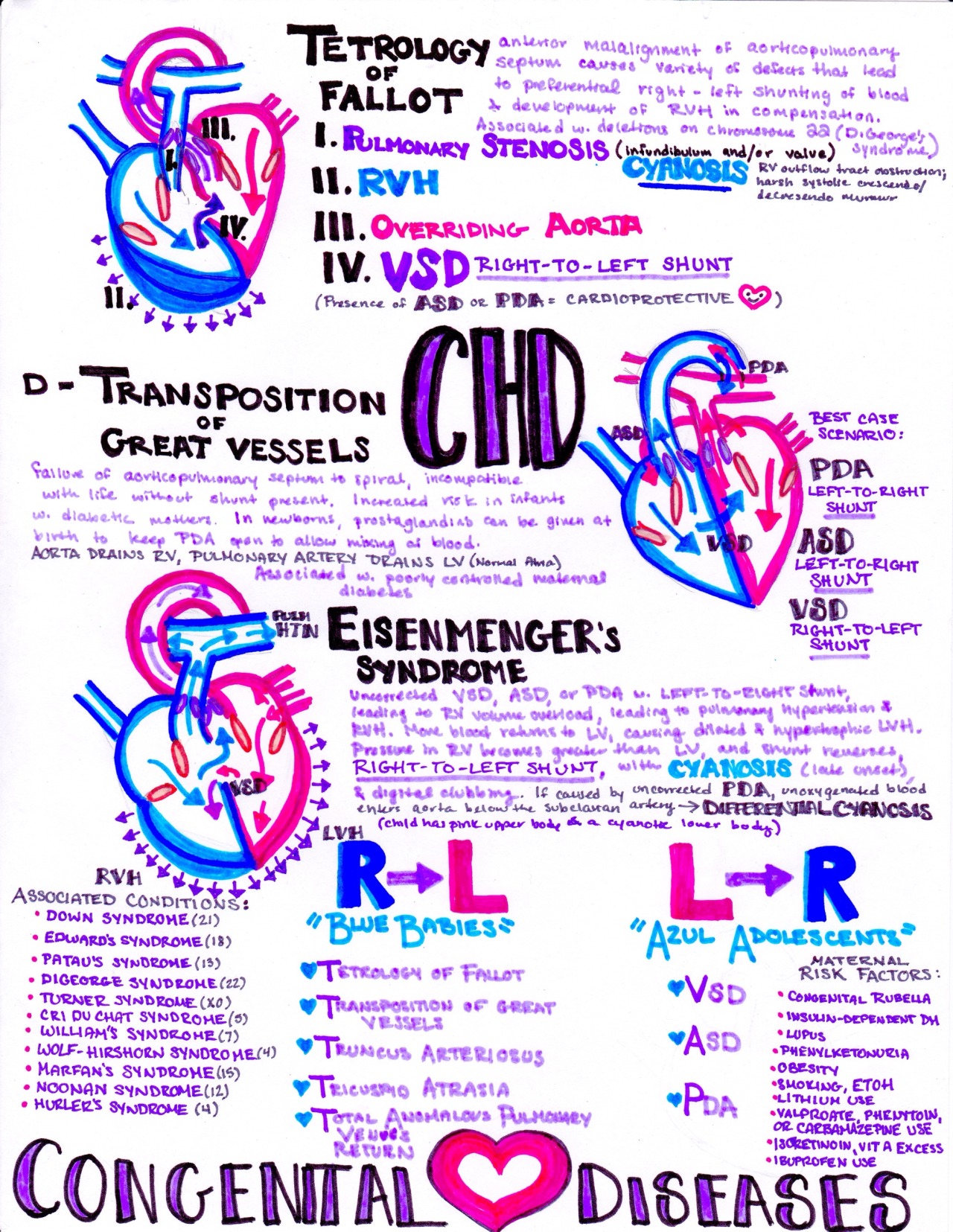 Hanson's Anatomy — Congenital Heart Defects