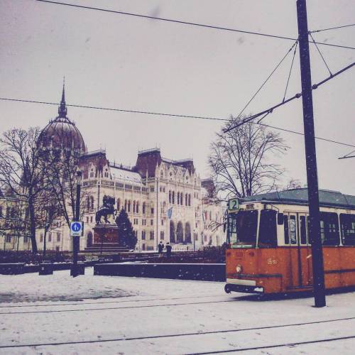 zsofiv:Let it snow:)