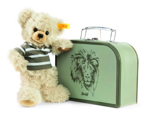 teddy in a suitcase