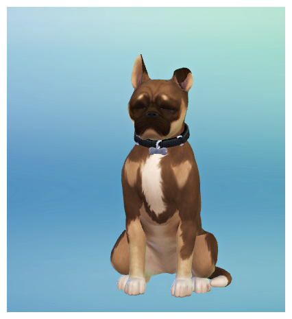 mangao chucks dog mangao chucks dog