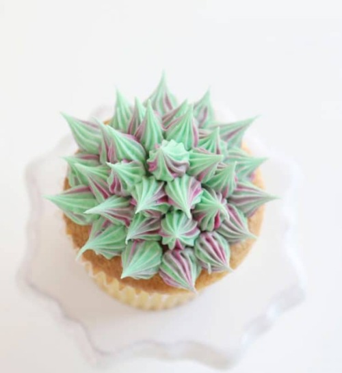 foodffs:How to Make Succulent CupcakesFollow for recipesGet...