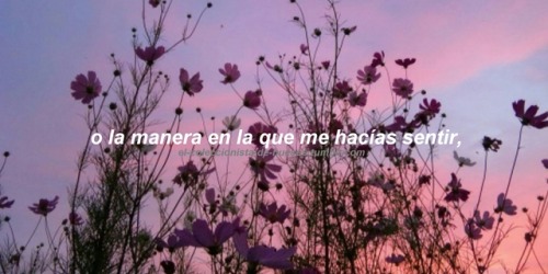 el-coleccionista-de-huesos:Pensamientos a quién ya no me lee.