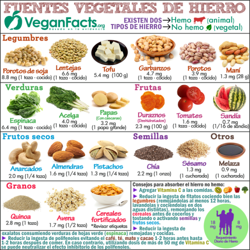 Fuentes vegetales de hierroVegan iron sourcesSiguenos...