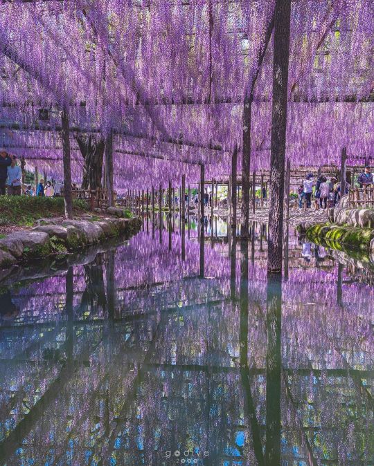 Aichi, Japan