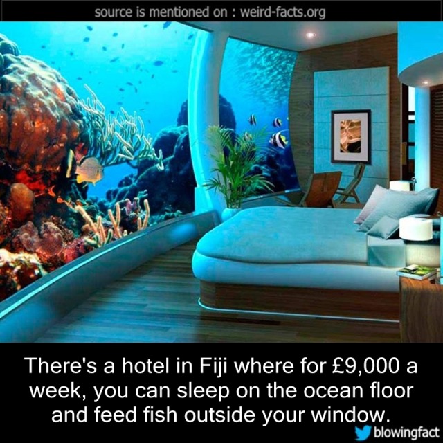 Weird Facts There S A Hotel In Fiji Where For 9 000 A Week