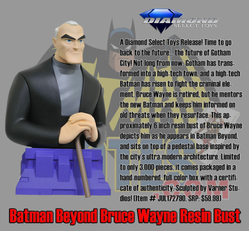 Diamond Select Batman Beyond Bruce Wayne Bust