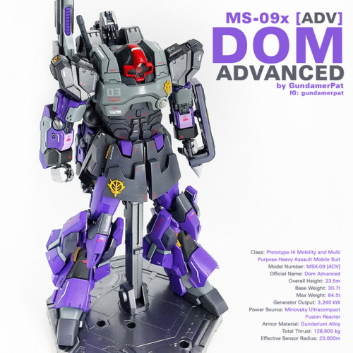 rx-79bluedestiny:Custom Build: MG 1/100 MS-09x [ADV] Dom...