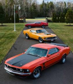 @Mustang Fanatic