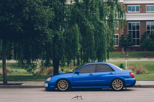 DSC_5912 by Arlen Liverman on Flickr