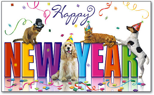 Funny Pets - Pets wish you a Happy New Year :) More: Funny Pets