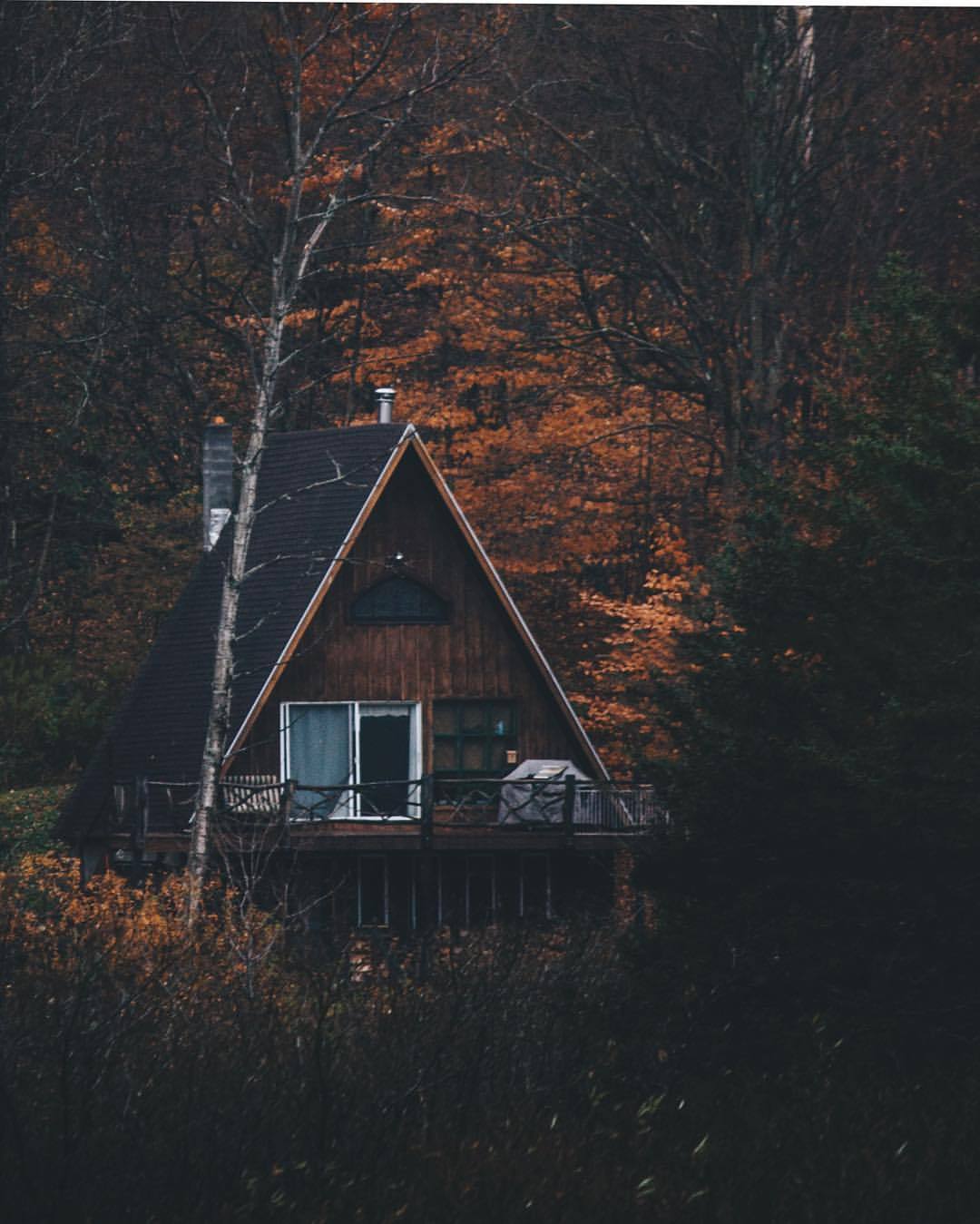 Cabin In The Woods Rustic Bones All I Want In Life Is To Live