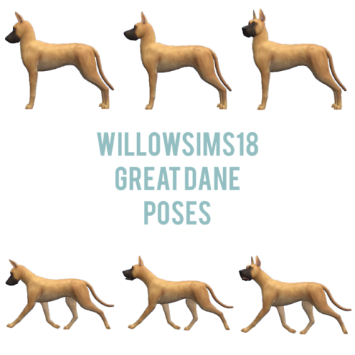 willowsims18