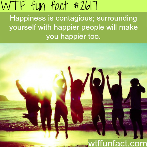 WTF Facts : funny, interesting & weird facts