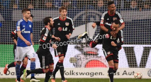 Schalke Blog Schalke Blog