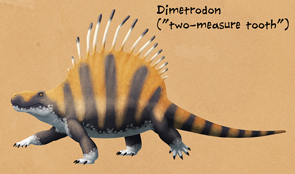 Download Weird Backs Month #08 - Dimetrodon Named for the... | Nix ...