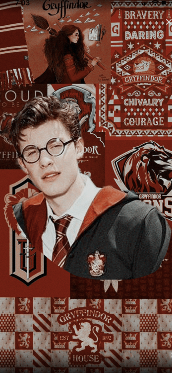 shawnmendesicons