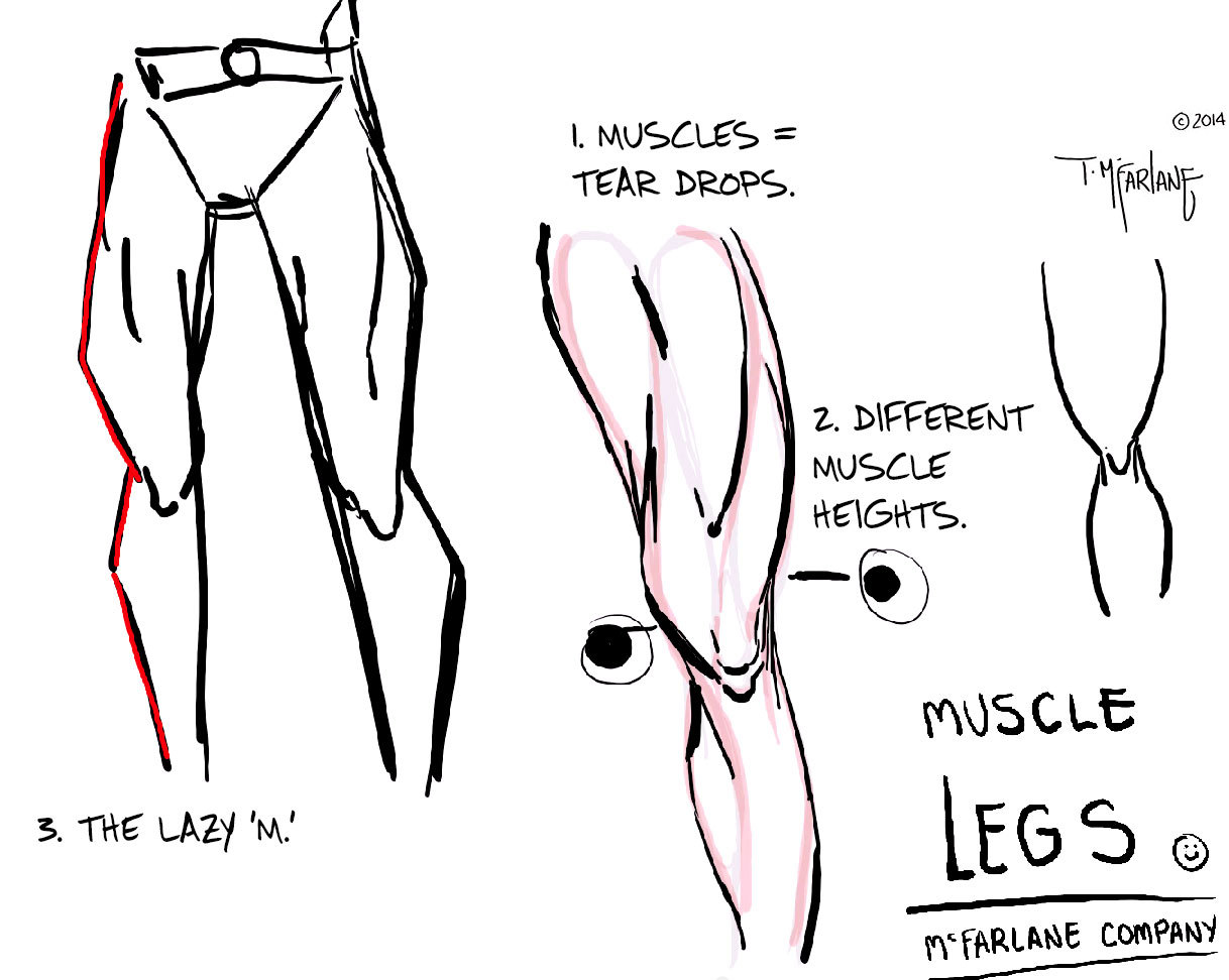 1. MUSCLES = TEAR DROPS. As you can see in the... - Welcome to the ...