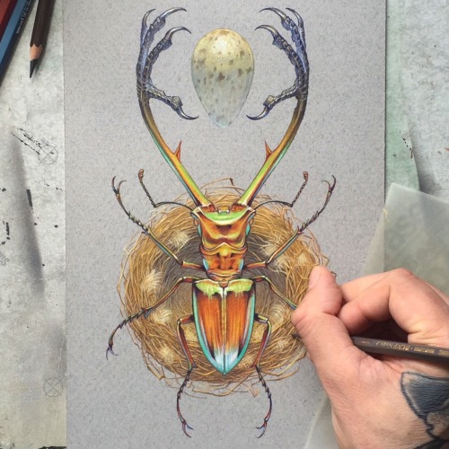 maraldart:Finally found the time to finish this piece. It took...