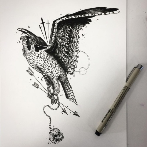 beardless-illustration:I love peregrine falcons. Really want to...