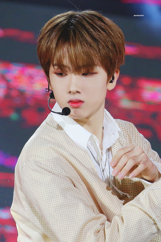 © Boy, boy, boy! | do not edit. (1, 2)