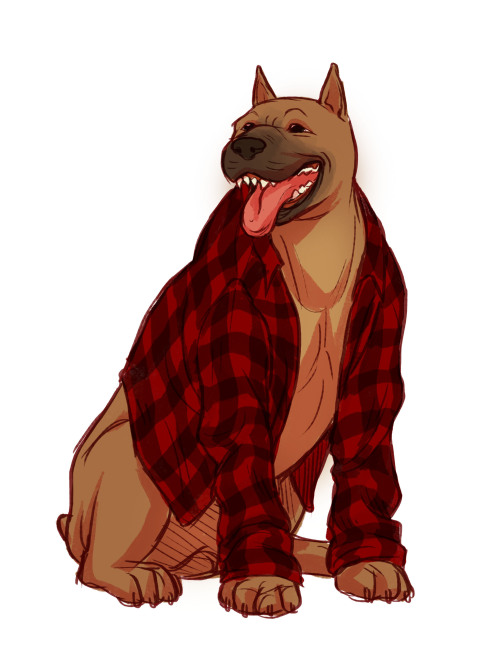 fernacular:Warriors in Flannel!!!because why the hell...