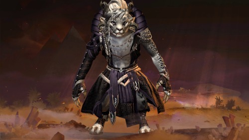 Guild Wars 2 Female Charr Tumblr