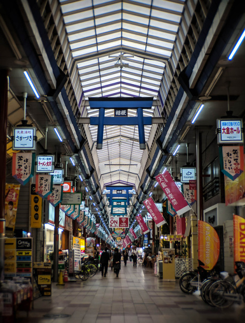 Day 10 in Japan.Still in Osaka, I went south to Dotonbori yet...