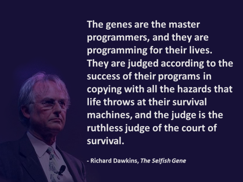 fossil museum evolution richard dawkins richard dawkins quotes selfish gene genetics science education