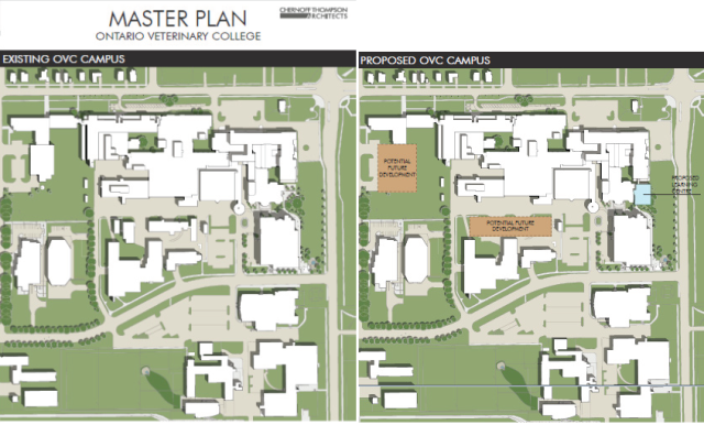 OVC Bulletin, Thank you for attending OVC’s Masterplan Feedback ...