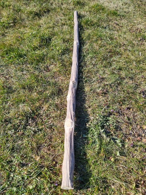 prototyp013