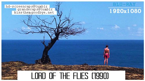 lord of the flies resolution